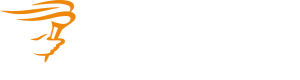 300xauto 2025 bmv logo diap rgb